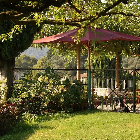 Agriturismo Il Belvedere Palazzago Ngoại thất bức ảnh