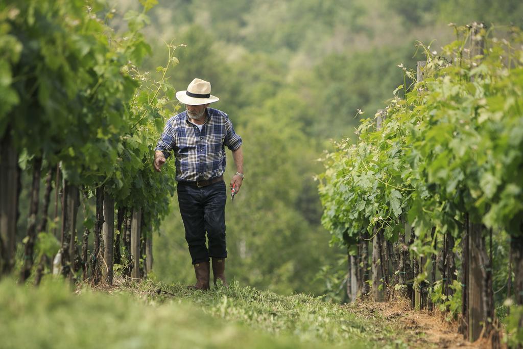 Agriturismo Il Belvedere Palazzago Ngoại thất bức ảnh